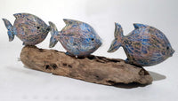 3 Fish's on Driftwood