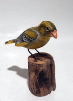 Green Finch