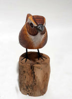 Wren