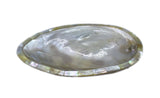 Shell Sauce Tray