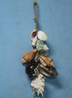 Hanging Sea Shell Decoration Klonong