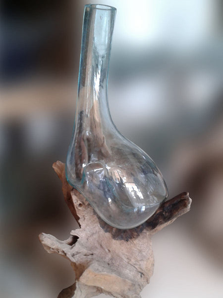 Glass Vase on the Wood Long Neck