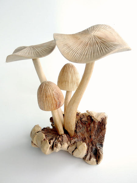 Wooden Mushroom