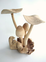 Wooden Mushroom