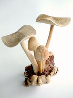 Wooden Mushroom