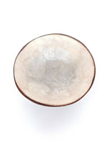 Coconut bowl laminated with shell