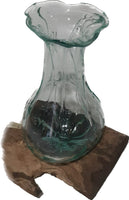 Glass Vase on driftwood