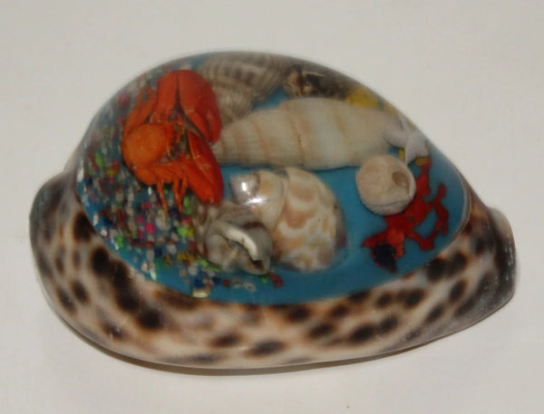 Tiger Shell with Resin art