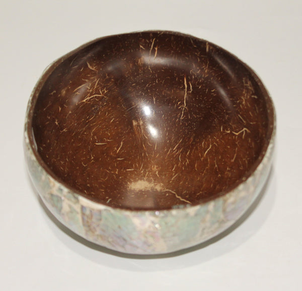 Coconut bowl with shell