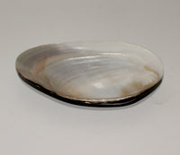 Serving plate / Sauce plate (L)