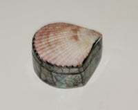 Jewelry box with shell