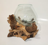 Glass Bowl on driftwood