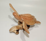 Turtle On Parasite Wood