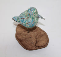 Small Bird on floating wood