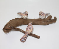 3 Birds on Driftwood