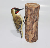 Bird Woodpecker