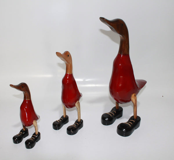 Duck in Red