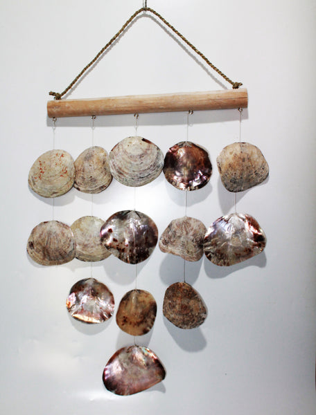 Hanging Shell Natural Line
