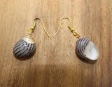 Earring from Shell Gold Plated