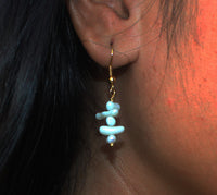 Earrings with Shell and Pearl