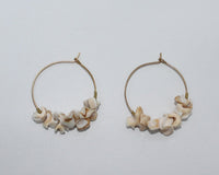 Earrings with Shell