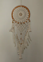Dream Catcher with Shell and Net