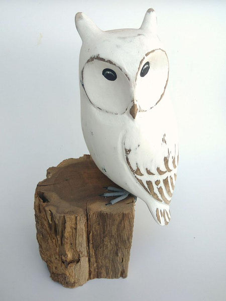 Long eared owl white
