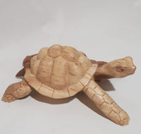 Large Turtle from Parasite Wood