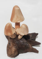 Mushroom on Driftwood