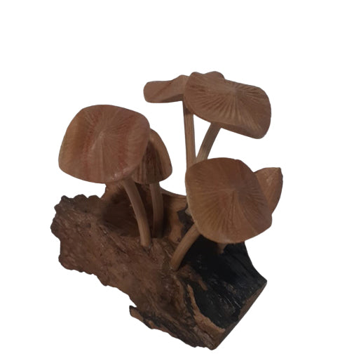 Wooden Mushroom on Root Wood