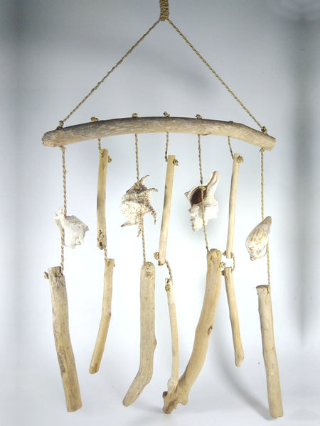 Hanging driftwood with shell