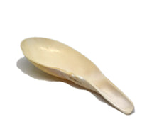 Spoon Shell