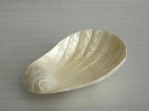 Bowls Shell