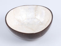 Coconut bowl laminated with shell